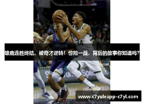 雄鹿连胜终结，被奇才逆转！惊险一战，背后的故事你知道吗？