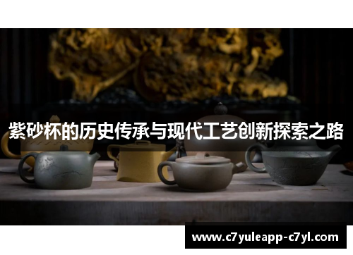 紫砂杯的历史传承与现代工艺创新探索之路